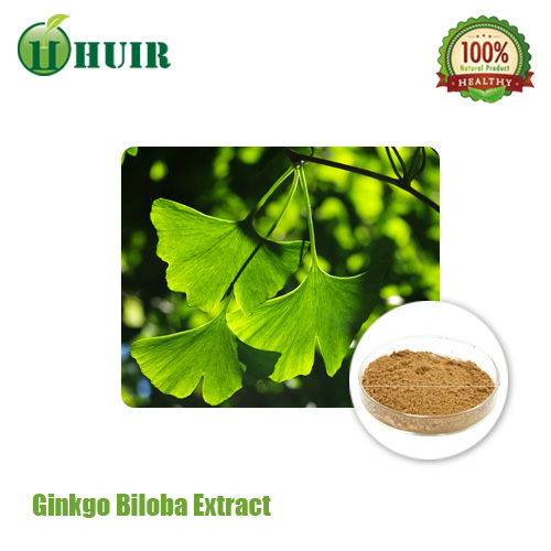 High quality Ginkgo Biloba leaf Extract 24 Flavonoides 6 lactone
