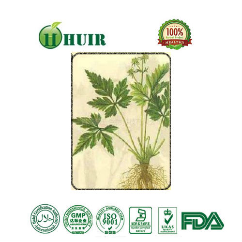 High quality herbal plant berberine hydrochloride