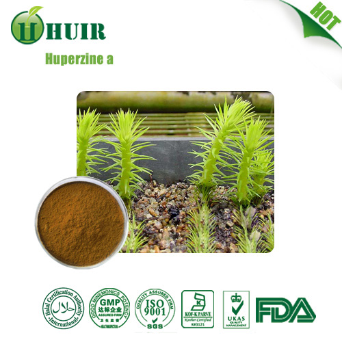 Huperzine A 1