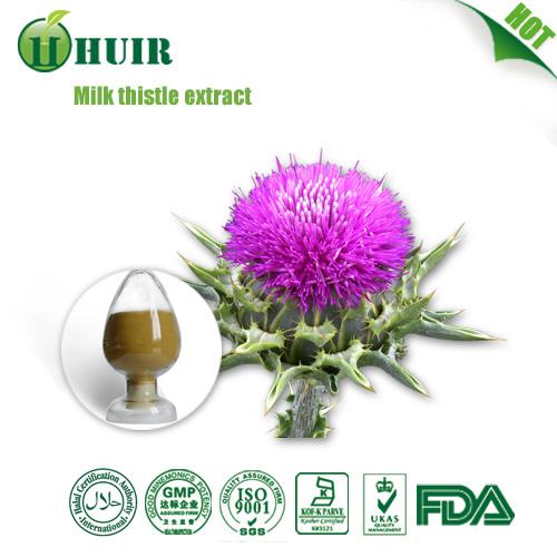 Natural liver protector Milk Thistle Extract silymarin 80