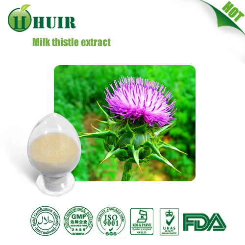 Natural liver protector Milk Thistle Extract silymarin 80