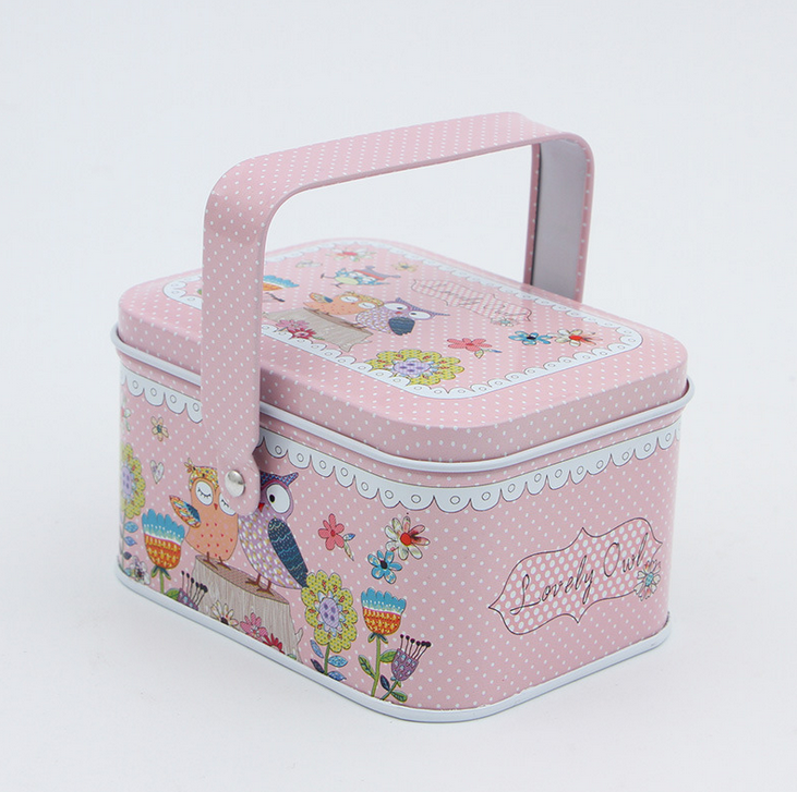 Creative handhold tin box for children
