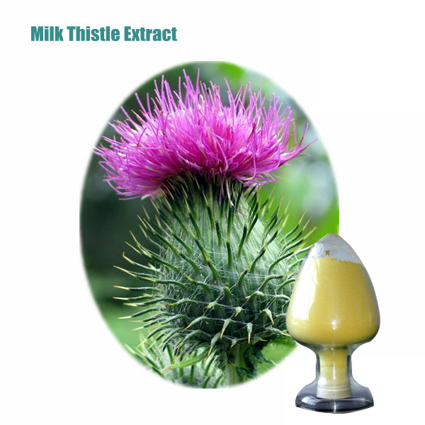 Food Grade High quality 80 Milk Thistle Extract Silymarin