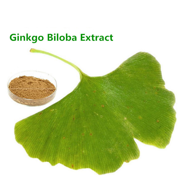 GMP factory supply Ginkgo Leaf Extract meet CP2015 Bulk Powder