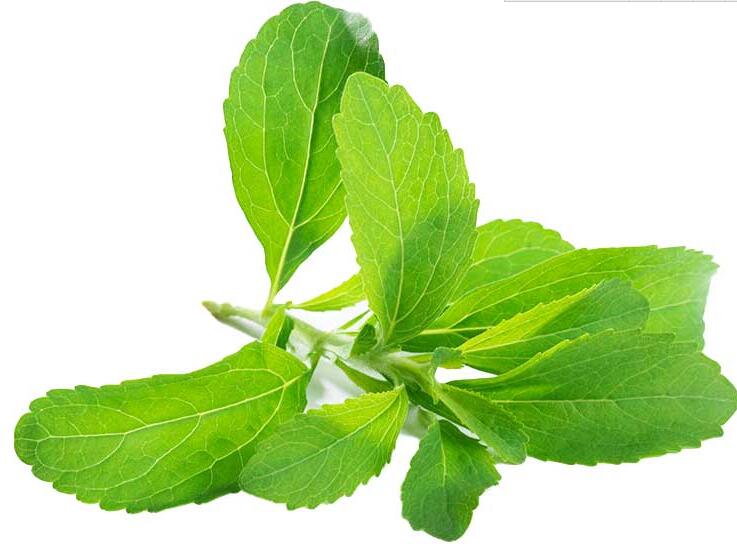 Stevia extractNew MstarSimin