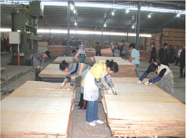 Birch plywood