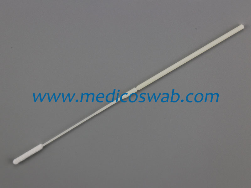 Sample Collection Nasopharyngeal Flocked Swabs