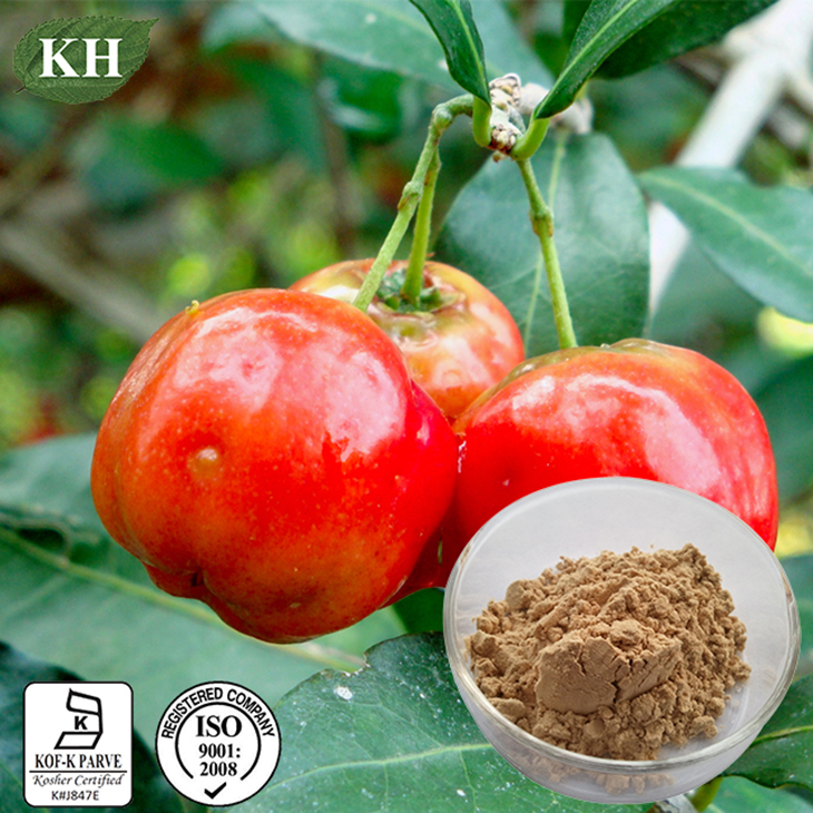 Acerola Cherry Extract Vitamin C 1725