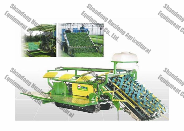 Vegetable harvester