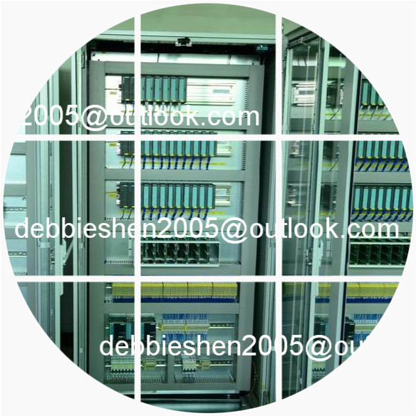 Pet food machinery automation engineering