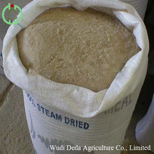 fish meal