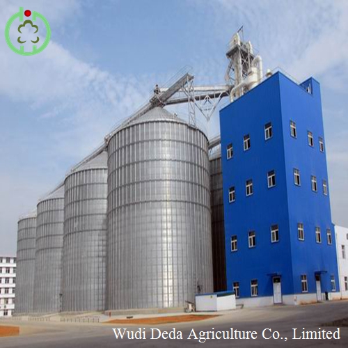rice protein meal animal feed