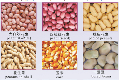 Cereal Color SorterPeanutsseedsbeansmCorn Color Sorting machine