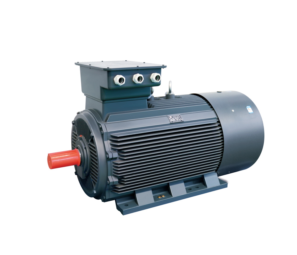 YE2 Series High Efficiency Three Phase Asynchronous Motor