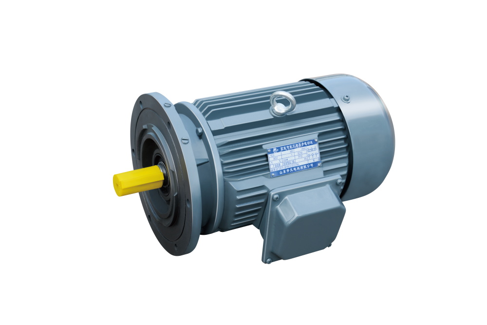 YXJ Series Cycloid Pin Wheel Reducer Special Three Phase Asynchronous Motor