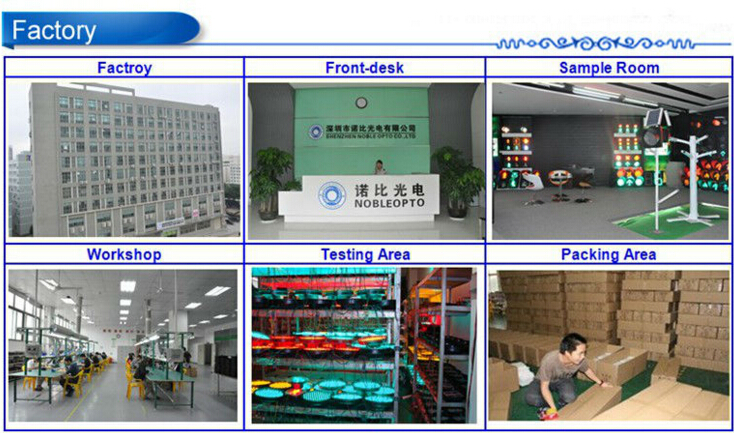 Vehicle Access Control 200mm Cross and Arrow Traffic Signal Light