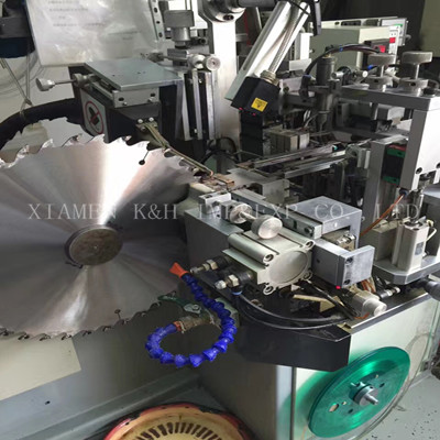 Multirip Circular Saw Blade with the Raker