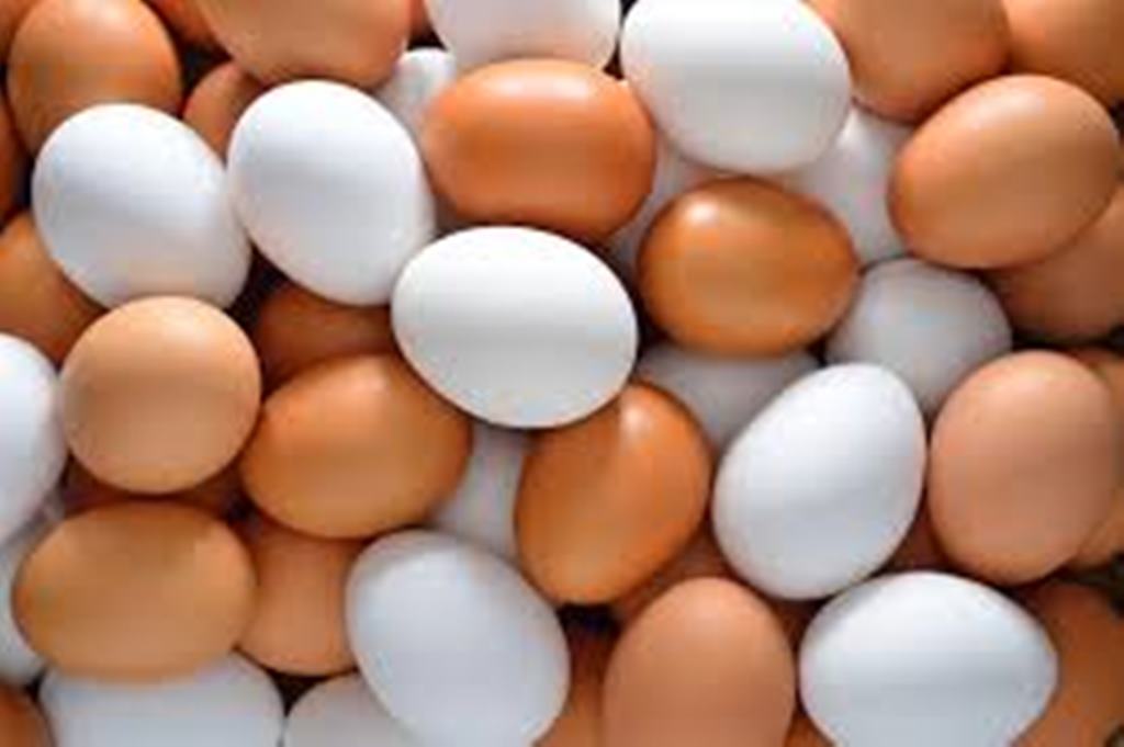 Farm Fresh Chicken Egg White and Brown Size 40g50g60g65g70g