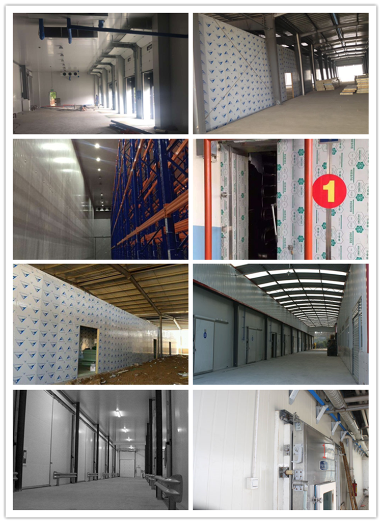 Large cold storage room for vegetablefruit and flower CA storage roomcommercial cold roomcold storage