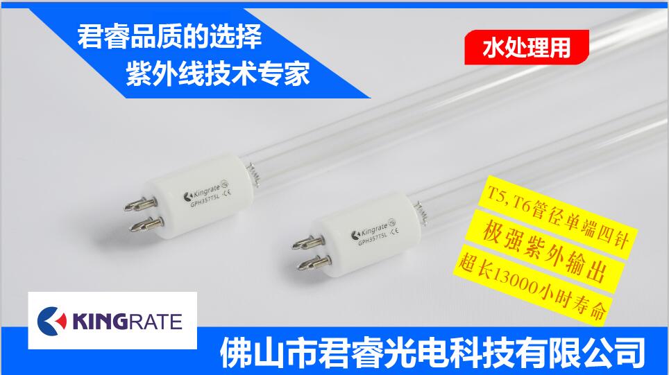 2 pin 2 end UV lamp