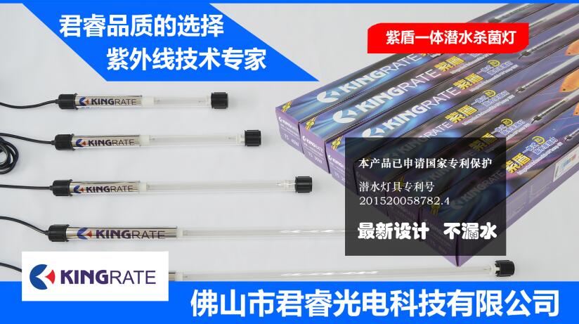 Integrated UV lamp