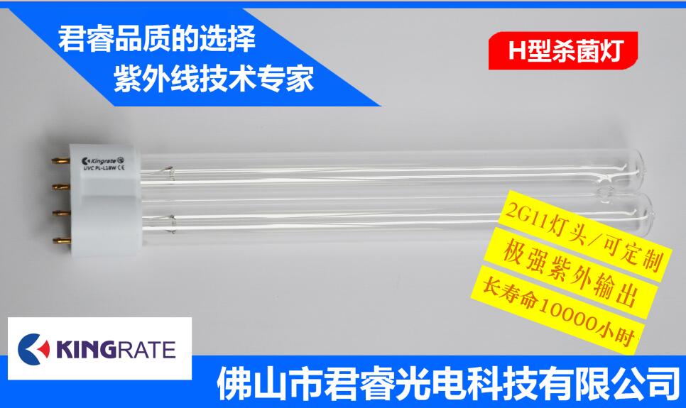 H type 595W