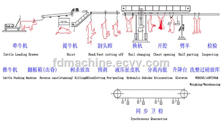 Cattle slaughter line equipment and deboning equipment division