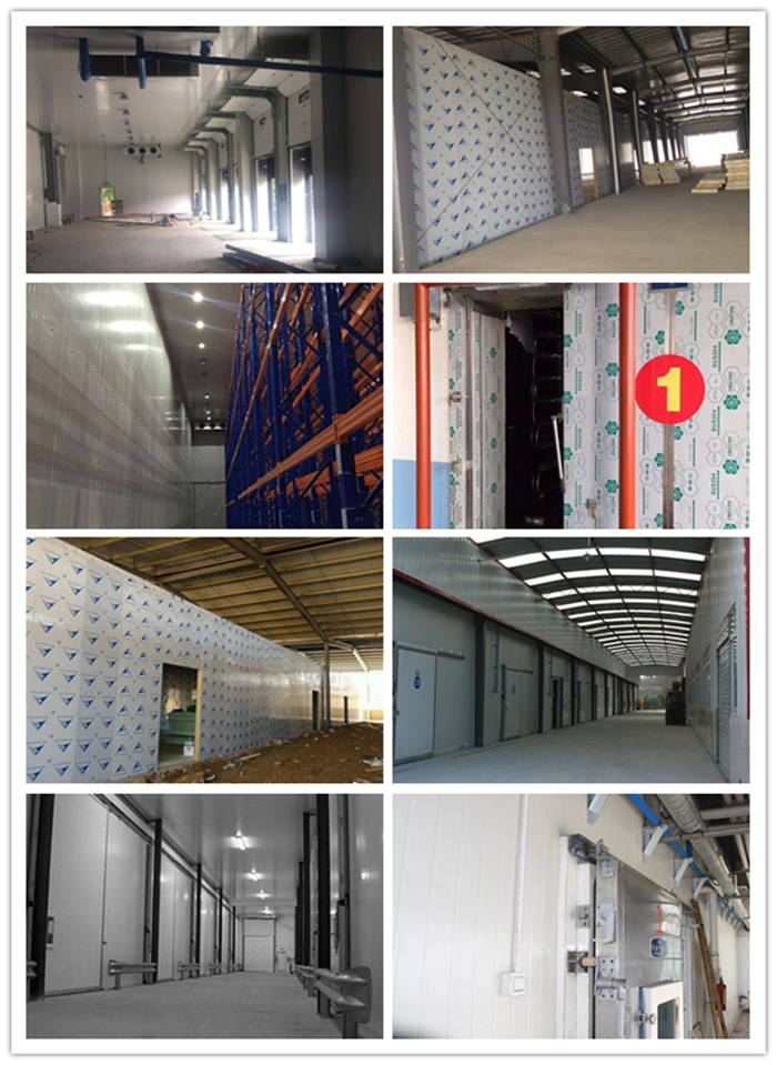 cold room for fruit and vegetable prefabricated cold room price cold storage for potatos onion