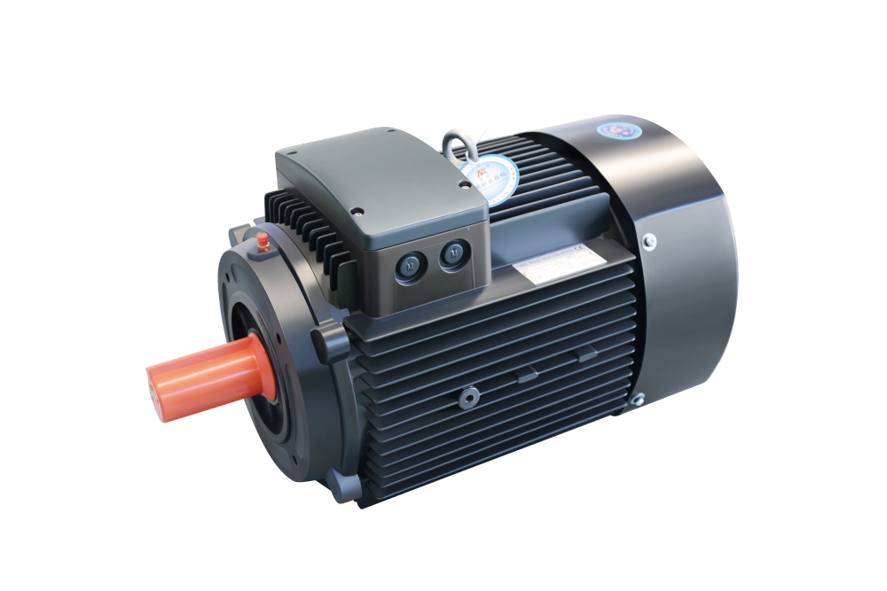 ADL Series Special Three Phase Asynchronous Motor for Stamping Pump