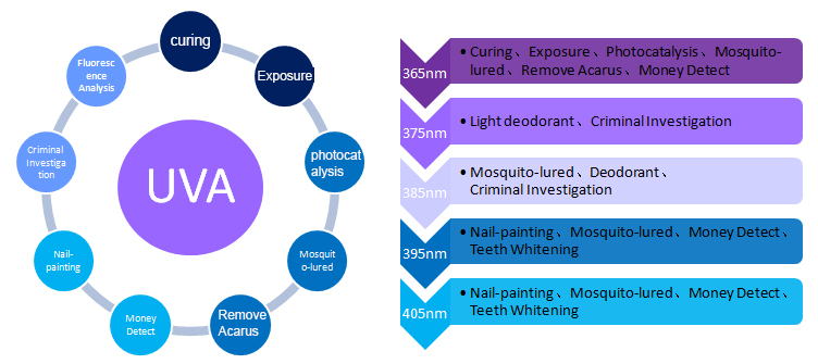 UV LED