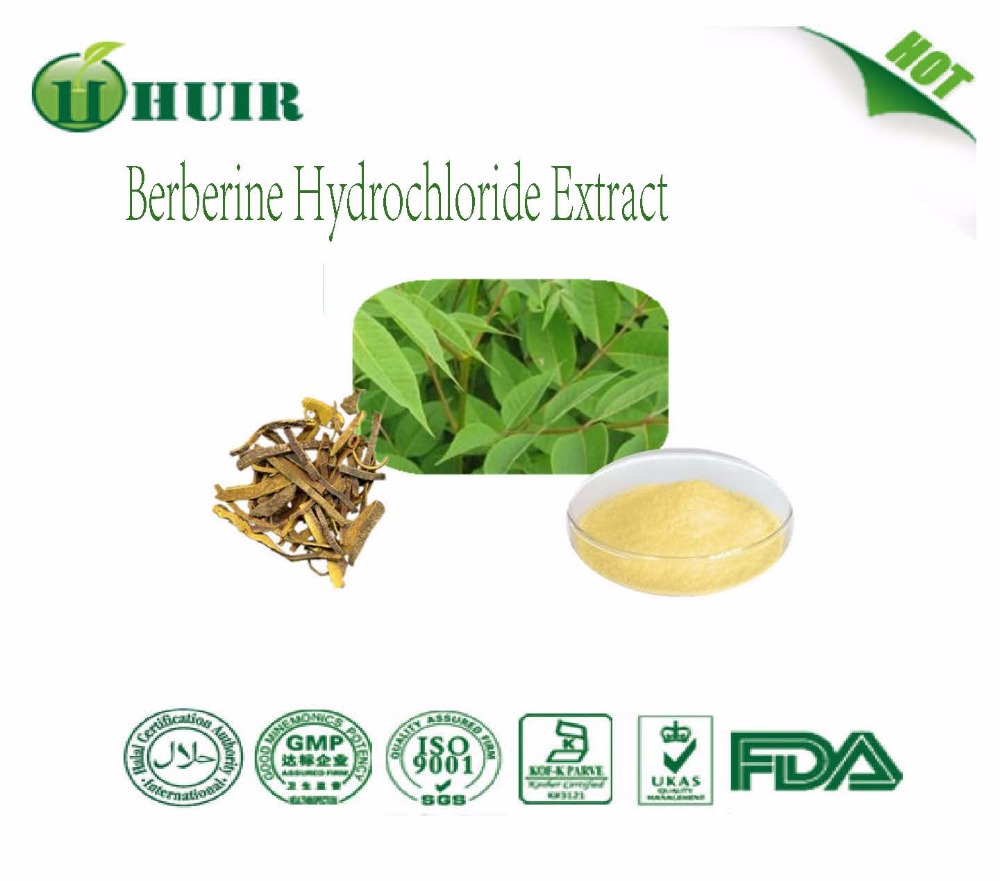 97 Berberine HCL high quality berberine hydrochloride