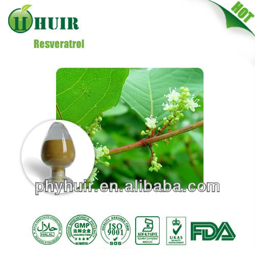99 Trans Resveratrol Polygunom Cupsidatum Extract bulk powder