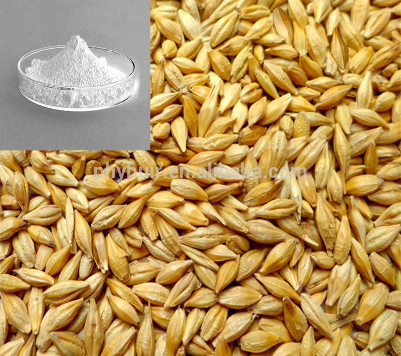 Hordenine hcl 98 hordenine hydrochloride Powder