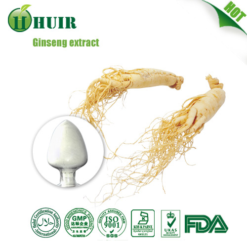 Low pesticides 7 Korean red ginseng extract panax ginseng powder