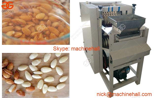 Almond Peeling Machine with Good Quality and Price