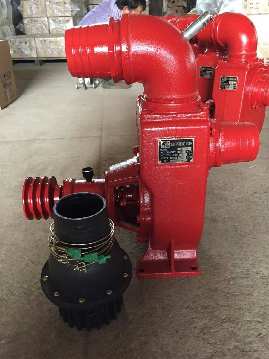 Indonesia NS50 pump