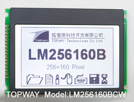 256X160 Graphic LCD Display COB Type LCD Module LM256160B