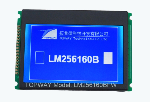 256X160 Graphic LCD Display COB Type LCD Module LM256160B