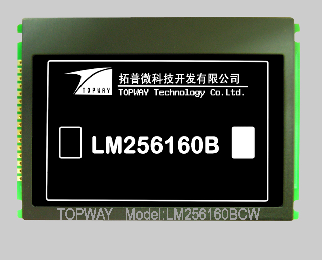 256X160 Graphic LCD Display COB Type LCD Module LM256160B