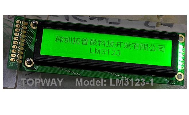 160X32 Graphic LCD Display COB Type LCD Module LM31231