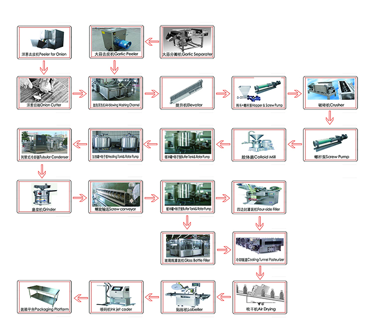 OnionGarlic Paste Processing Line