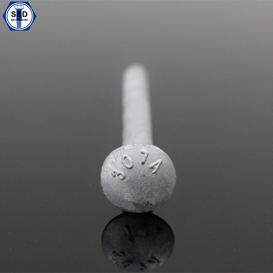 Carriage Bolt with Mushroom Head and Square Neck HalfFullUNFUNC Thread Type