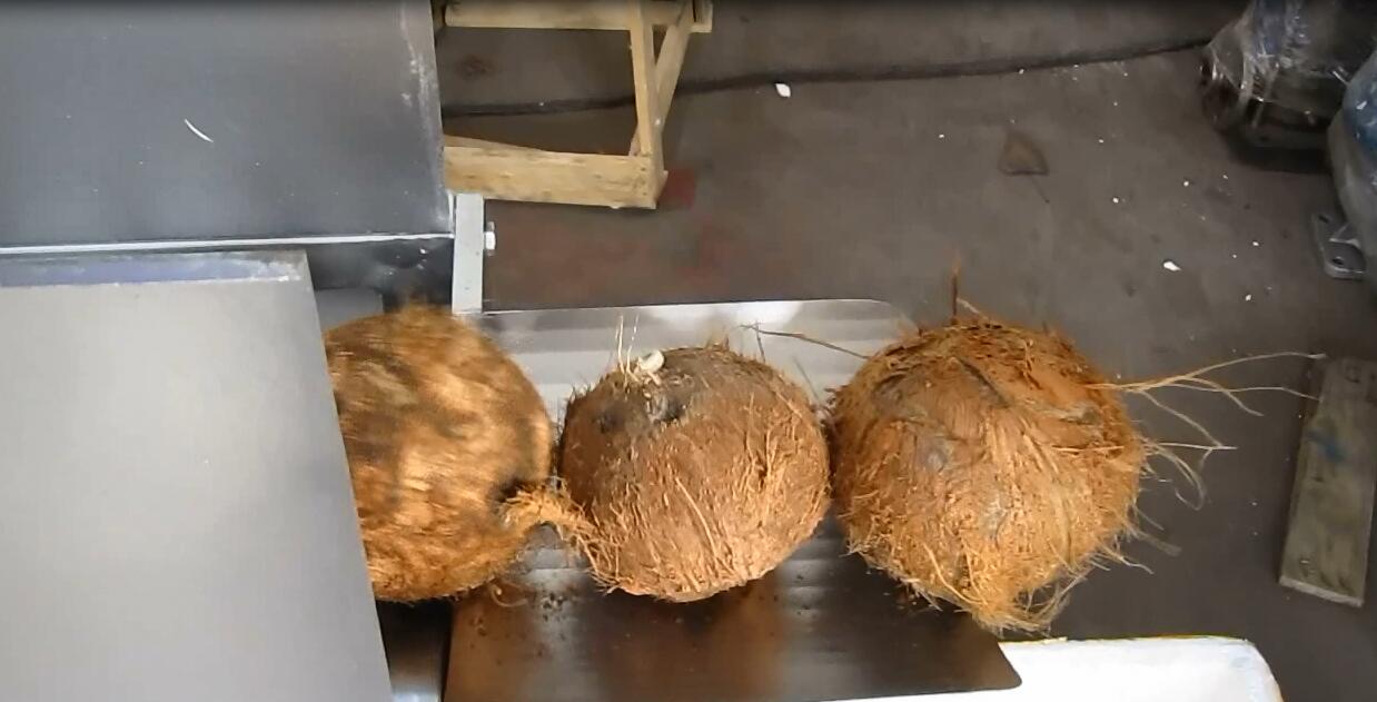 coconut milk process machinecoconut shelling machinecoconut meat cutting machine