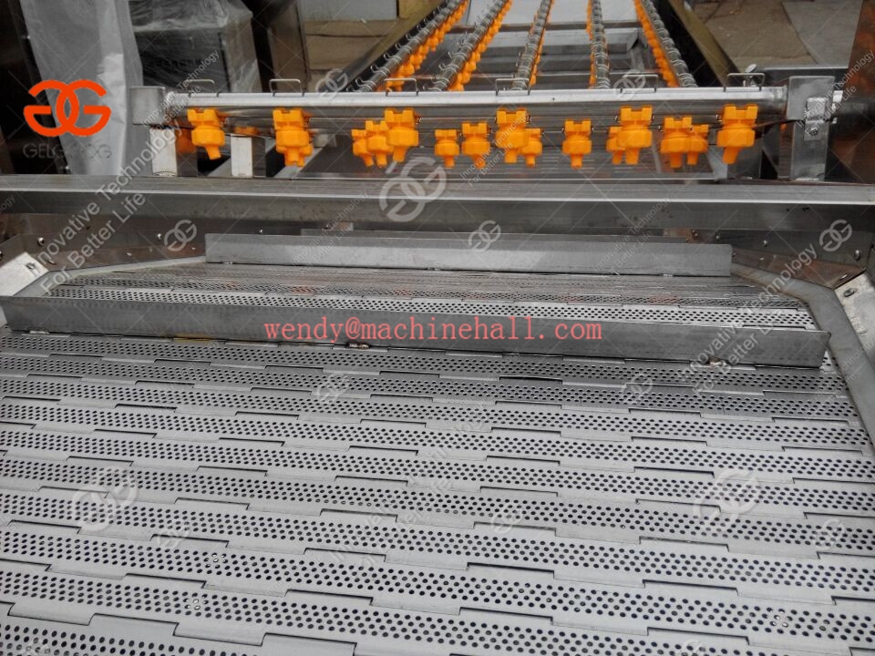 multifunction fruit vegetable washing machine with best price in china