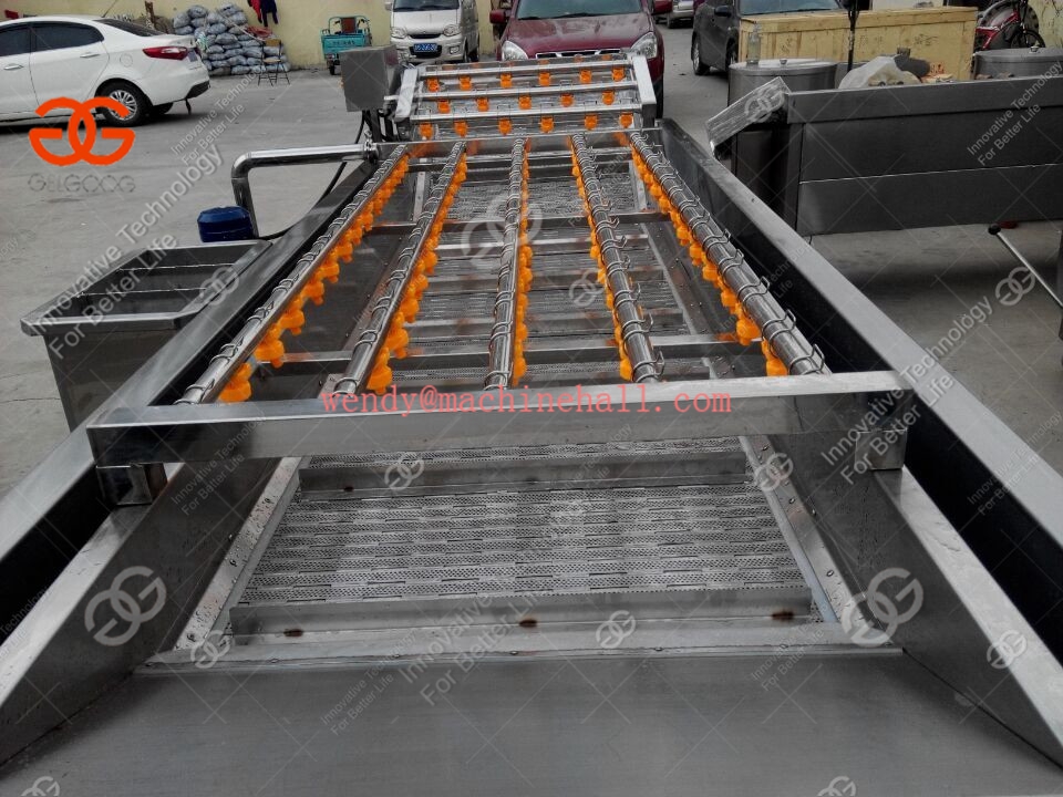 multifunction fruit vegetable washing machine with best price in china