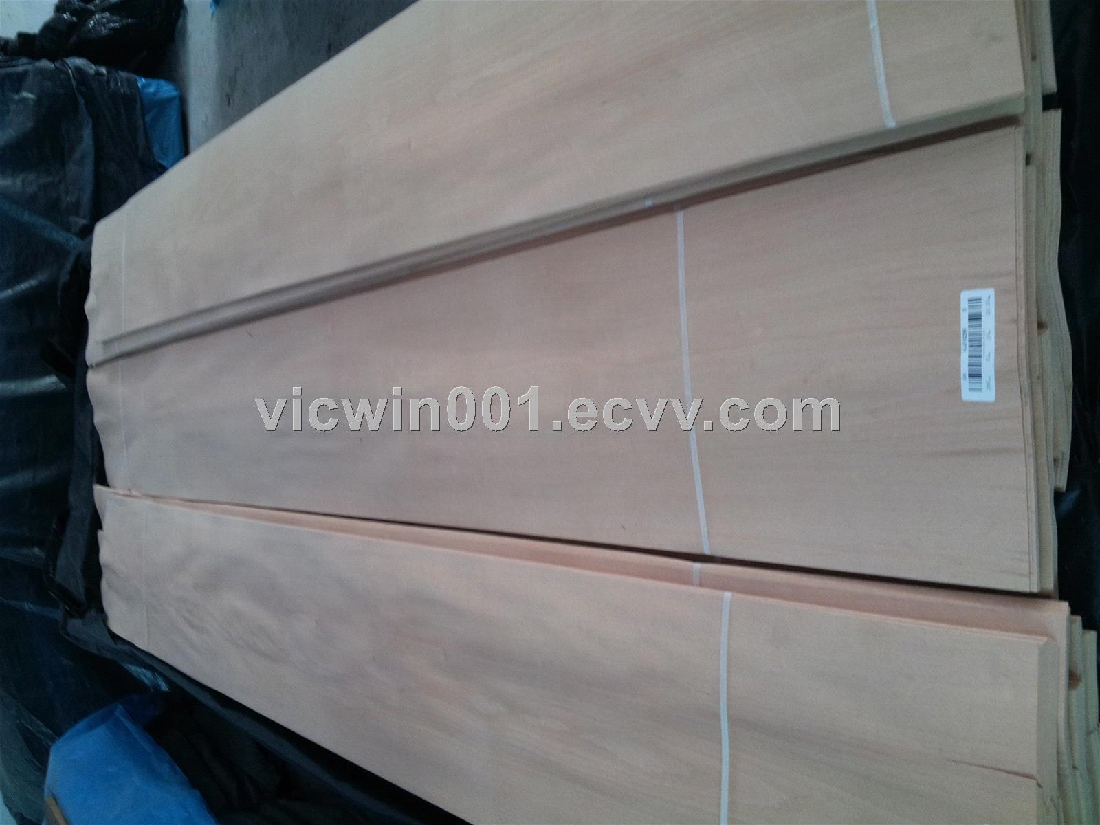 steamed beech veneer