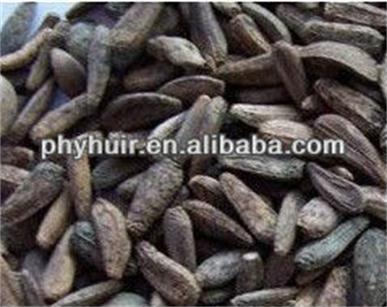 HUIR 100% Pure Natural High Quality Burdock Seed P. E.