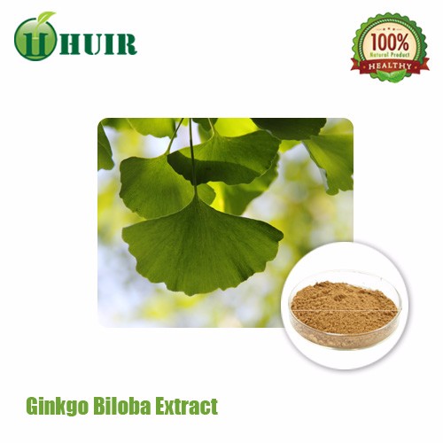 HUIR 100 natural Ginkgo Biloba Extract Flavonoids 24 or more