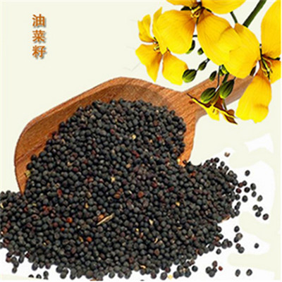 Rapeseed oilCanola seeds oil process and rapeseed oil refining equipment