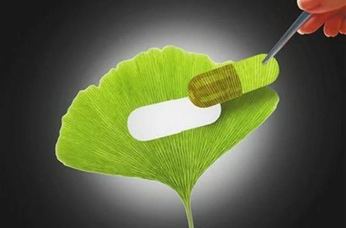 100 Ginkgo Biloba PowderGinkgo Biloba ExtractGinkgo Leaf Extract